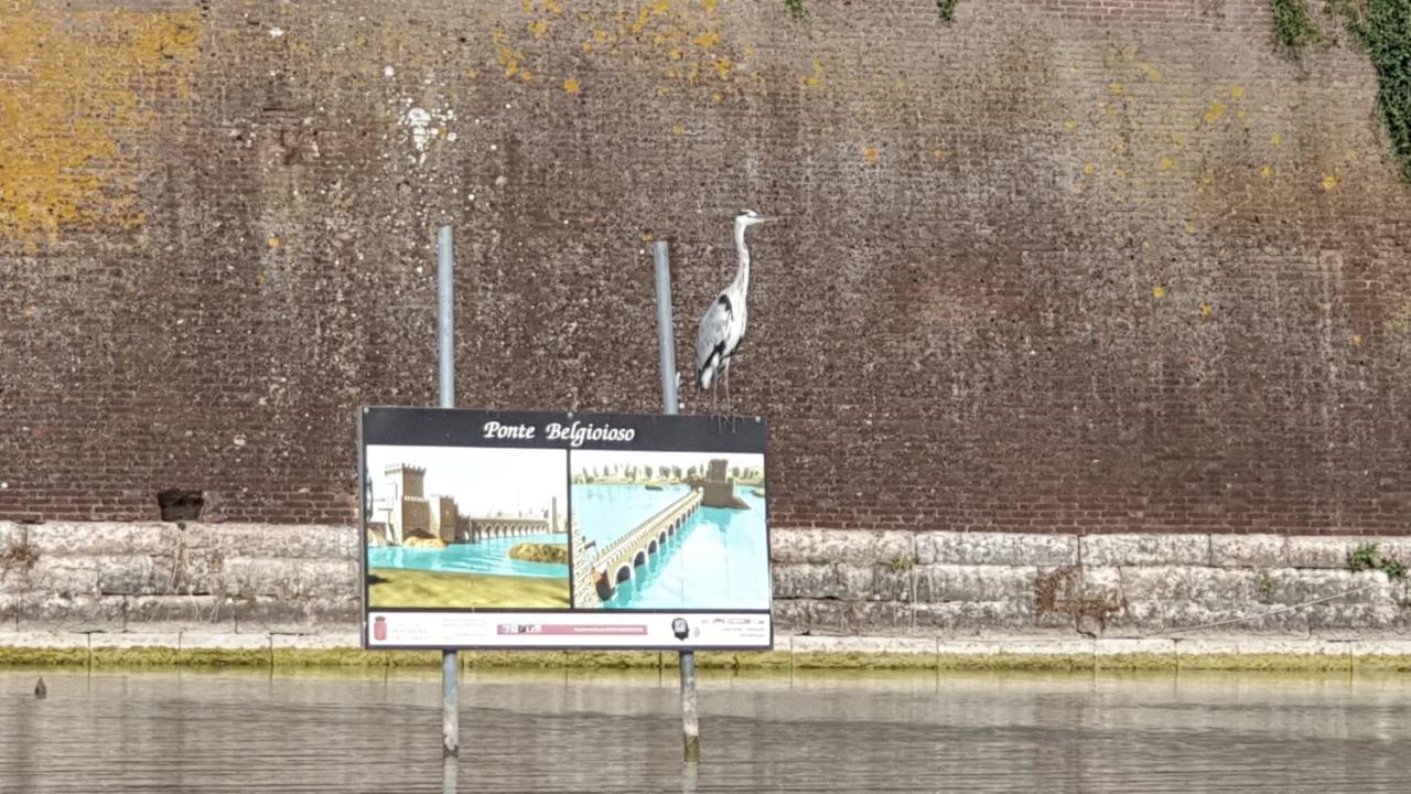 Casa Vacanza & Suite Joy Peschiera del Garda Dış mekan fotoğraf